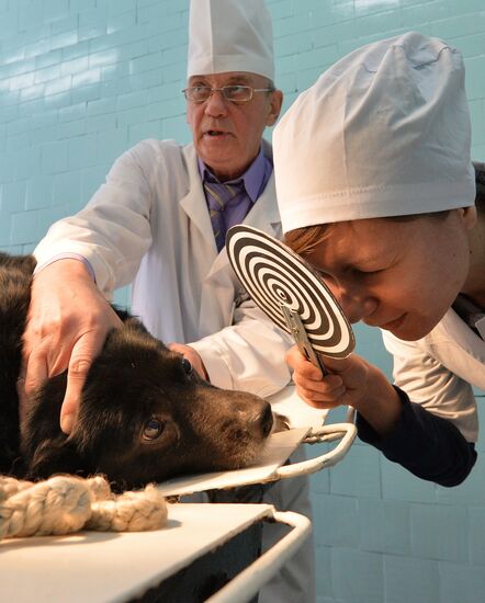 Urals State Veterinary Medical Academy