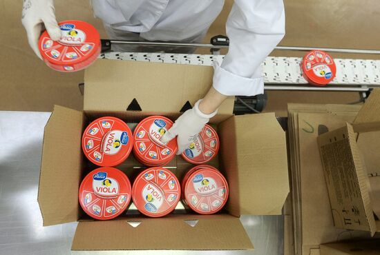 Viola processed cheese production in Moscow Region