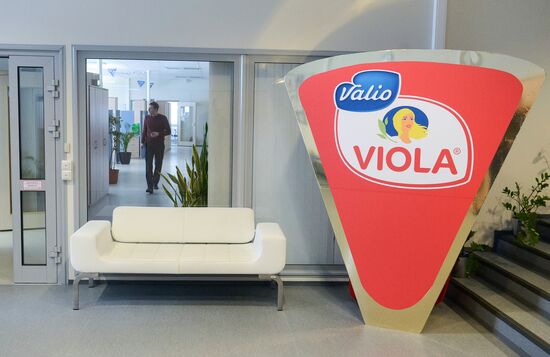Viola processed cheese production in Moscow Region