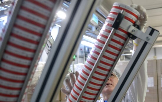 Viola processed cheese production in Moscow Region