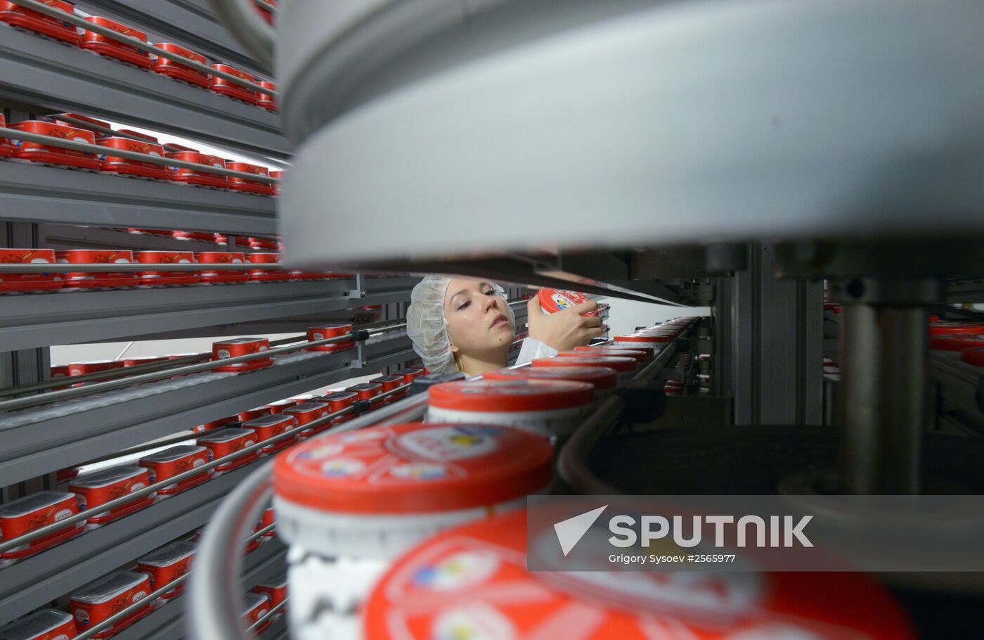 Viola processed cheese production in Moscow Region