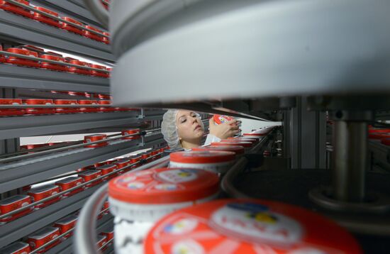 Viola processed cheese production in Moscow Region