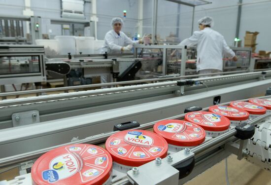 Viola processed cheese production in Moscow Region