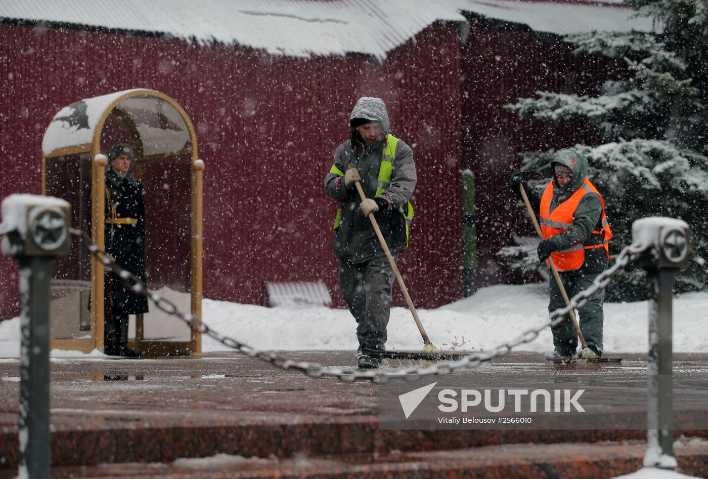 Snowfall in Moscow