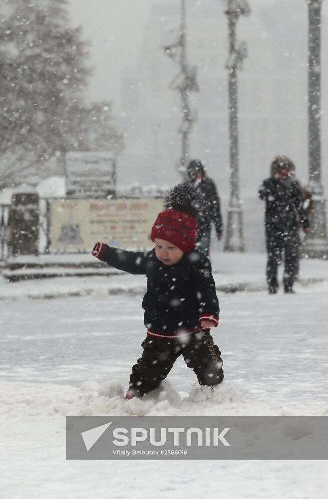 Snowfall in Moscow