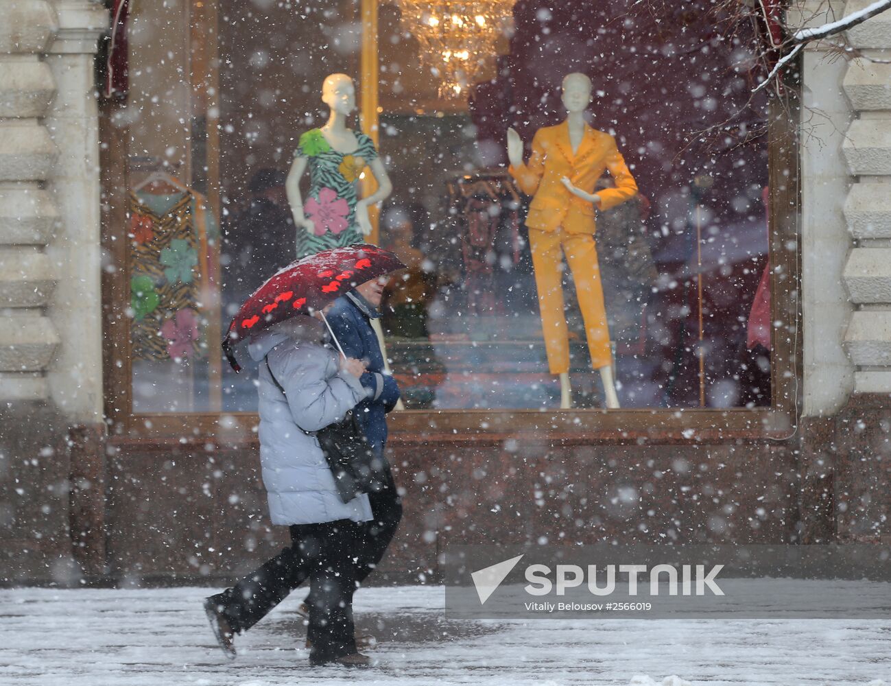Snowfall in Moscow