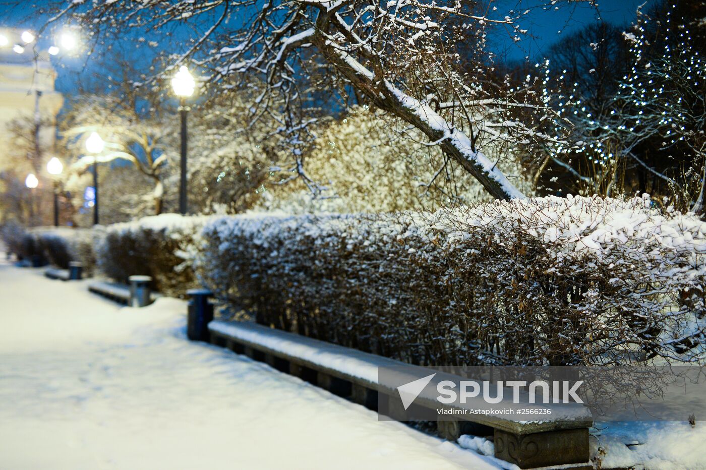 Snowfall in Moscow