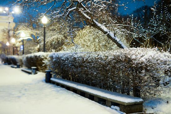 Snowfall in Moscow