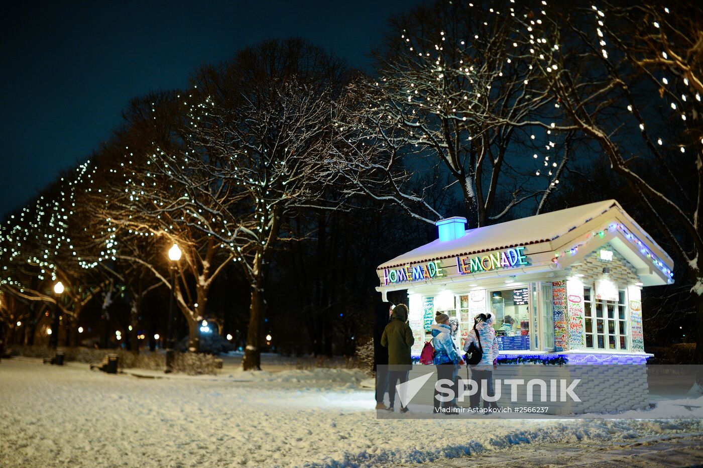 Snowfall in Moscow