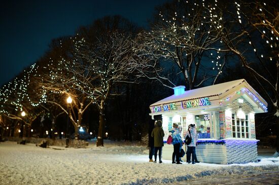 Snowfall in Moscow