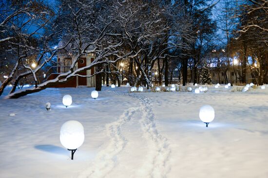 Snowfall in Moscow