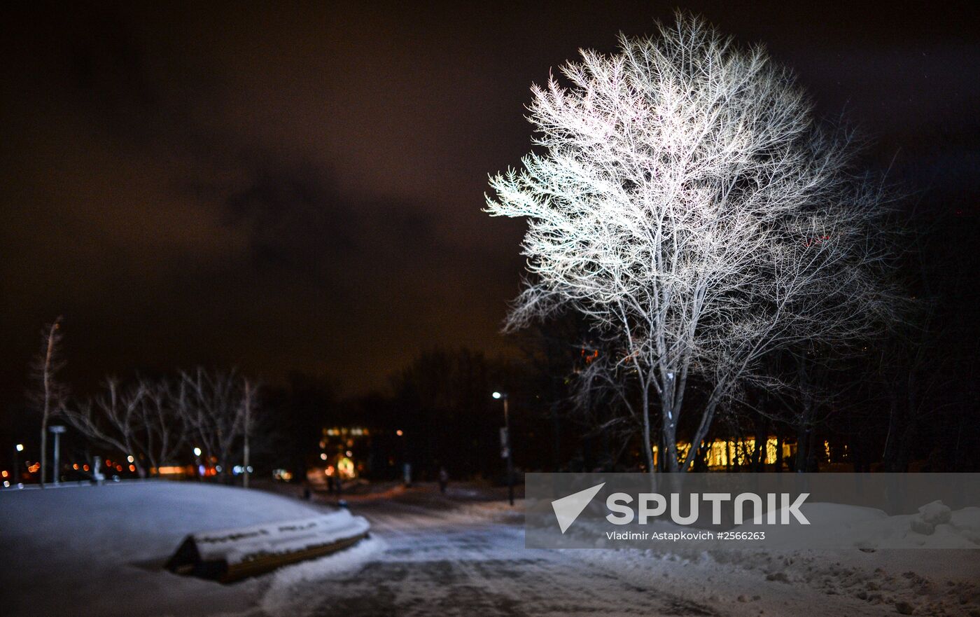 Snowfall in Moscow