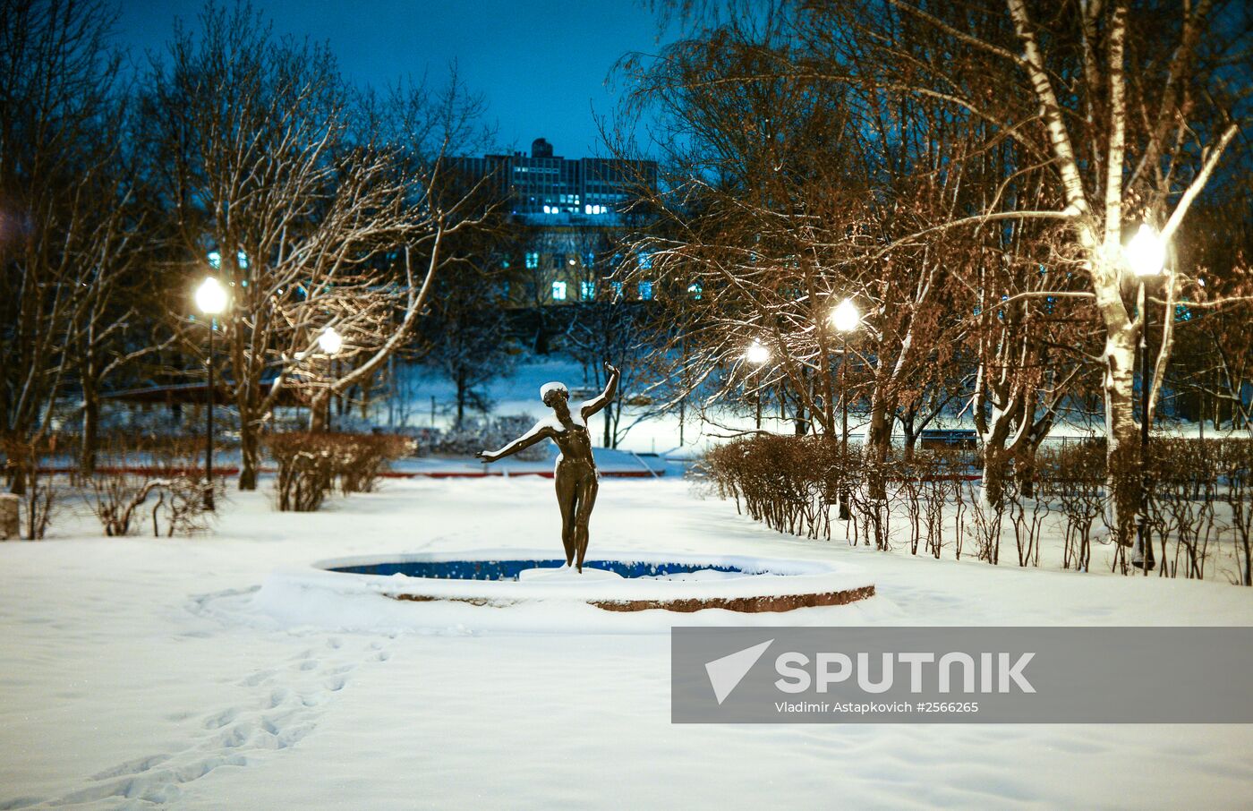 Snowfall in Moscow