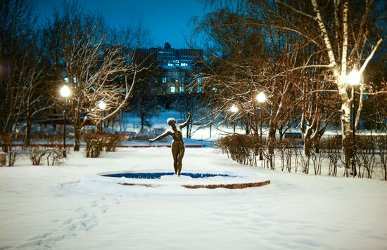 Snowfall in Moscow