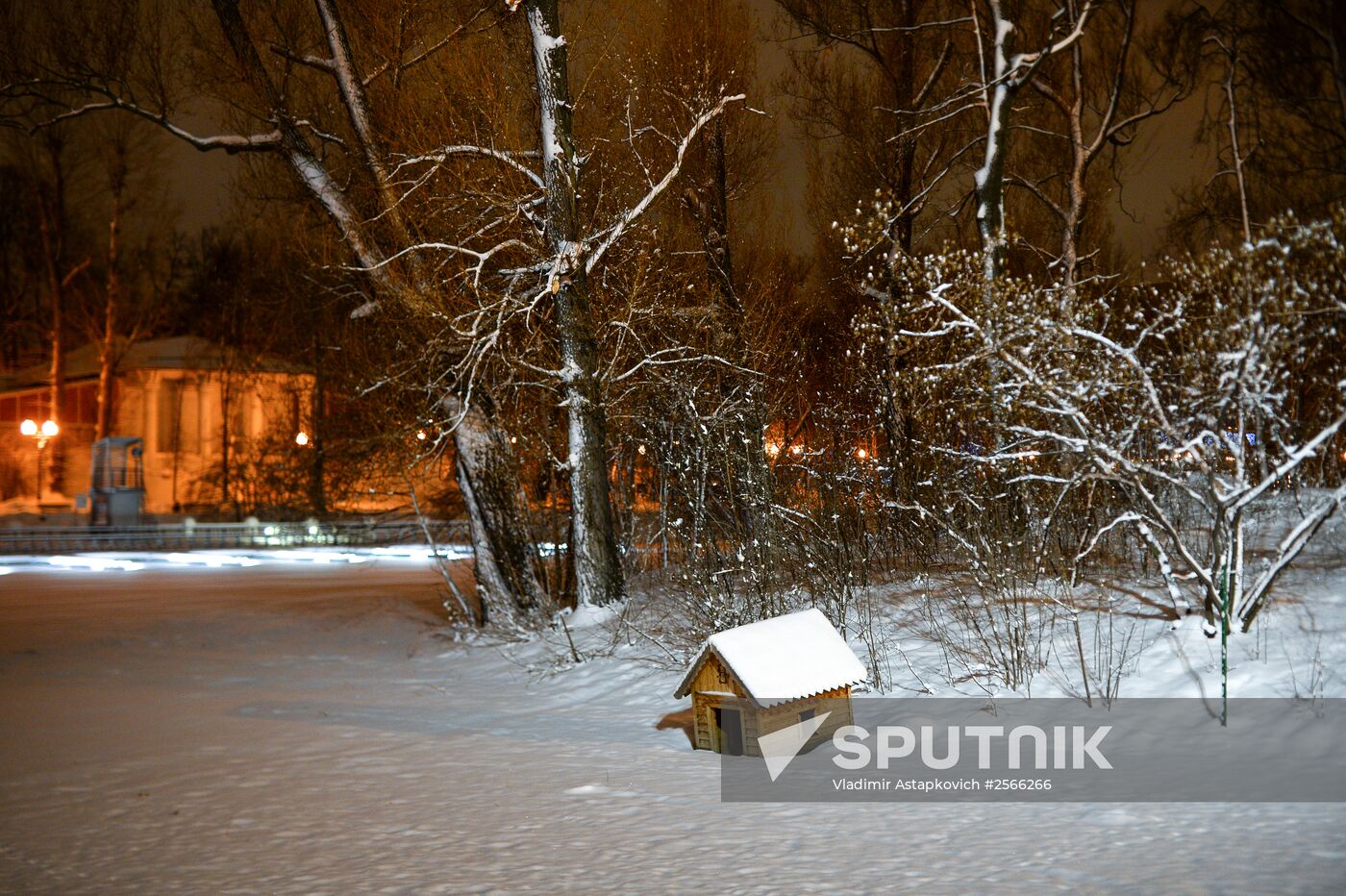 Snowfall in Moscow