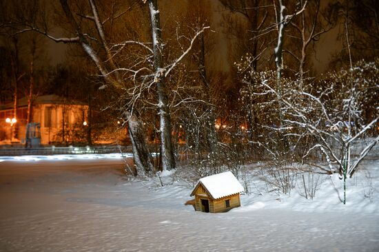 Snowfall in Moscow