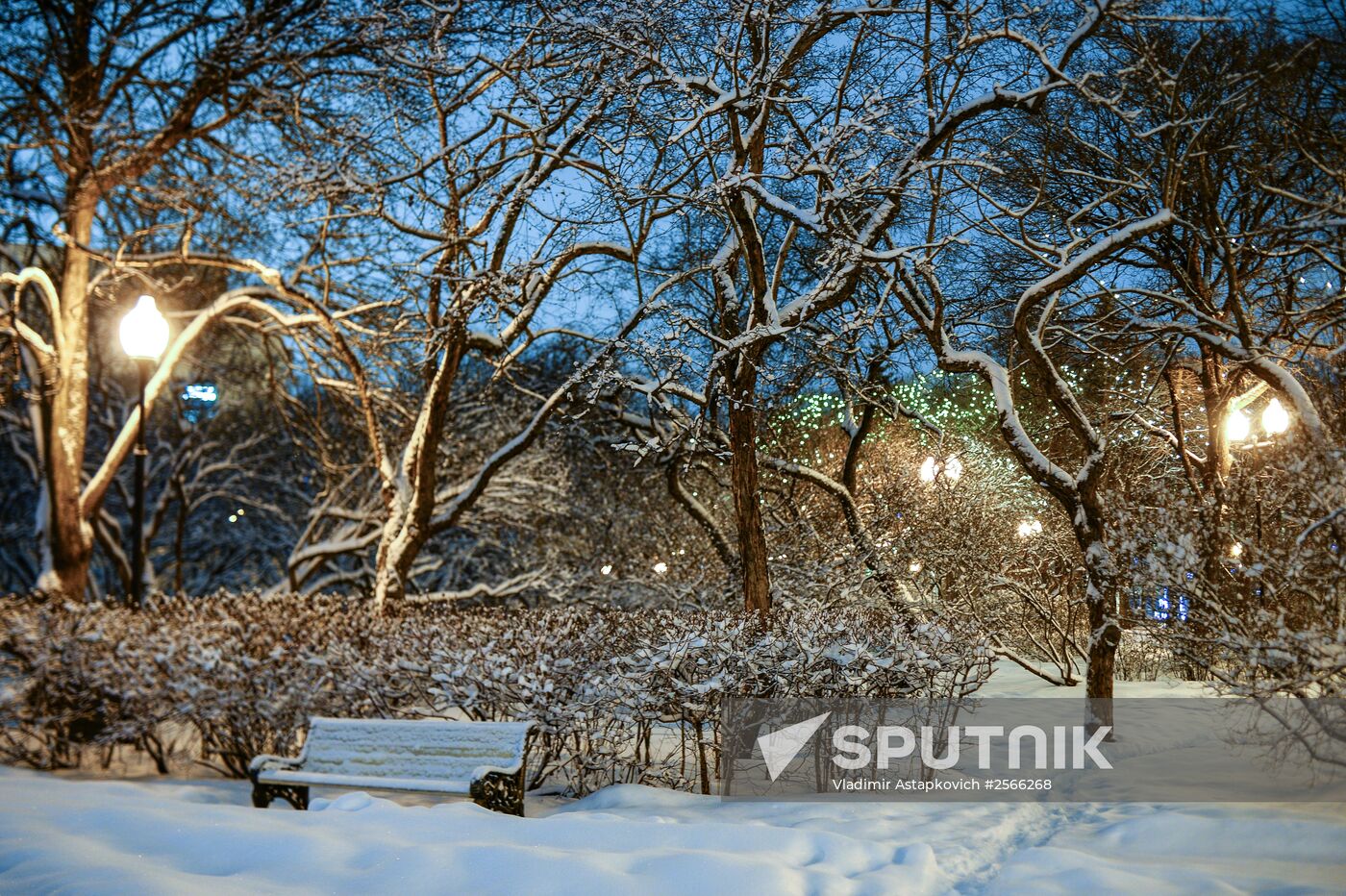 Snowfall in Moscow