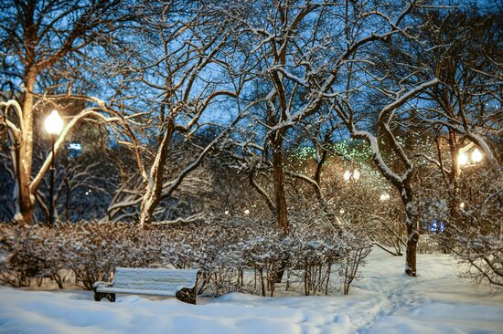 Snowfall in Moscow
