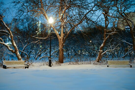 Snowfall in Moscow