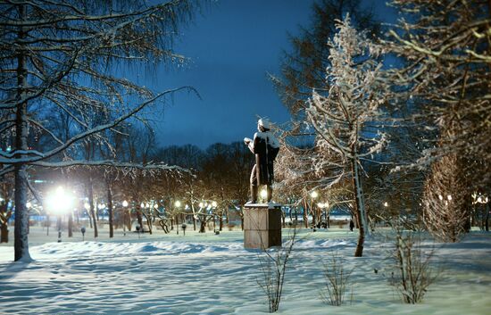 Snowfall in Moscow