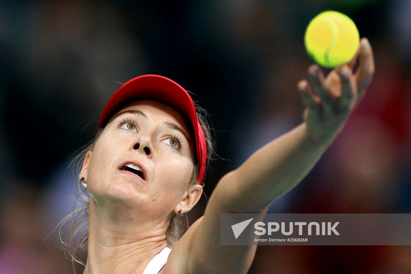Tennis. 2015 Fed Cup. Poland - Russia. Day One