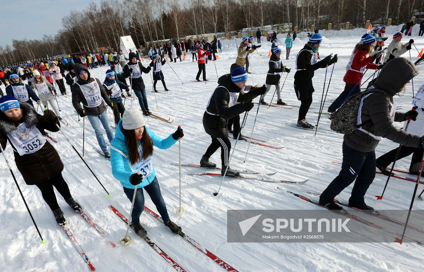 Russian Ski Track 2015 national mass cross-country race