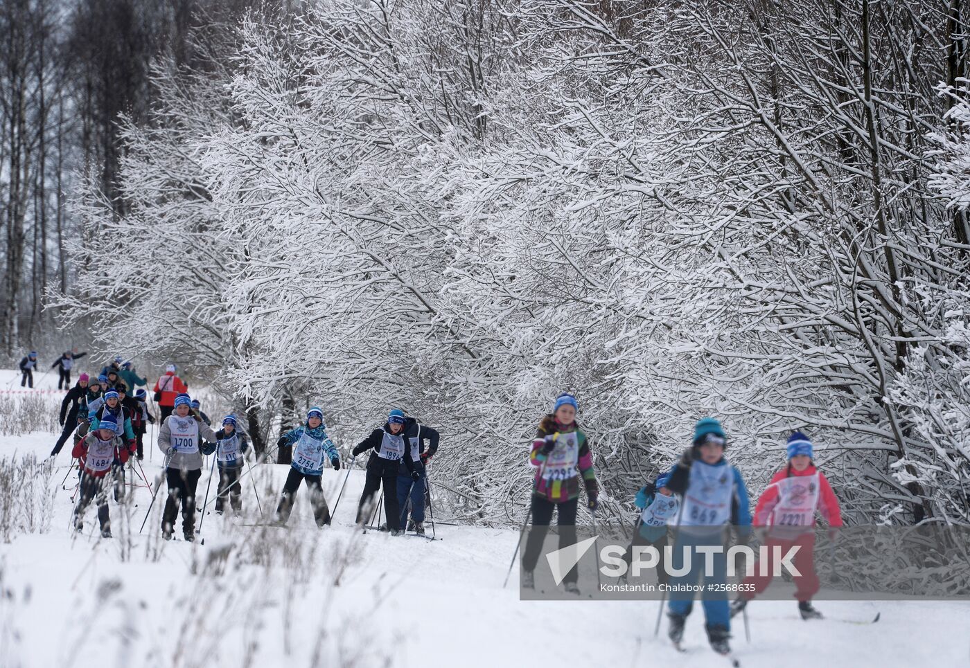 Russian Ski Track 2015 national mass cross-country race