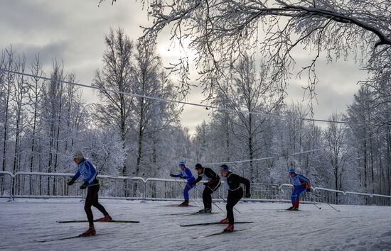 Russian Ski Track 2015 national mass cross-country race