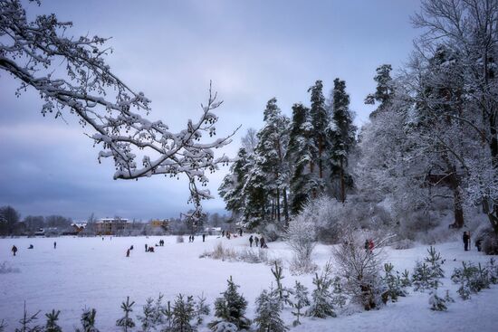Winter fun in St. Petersburg