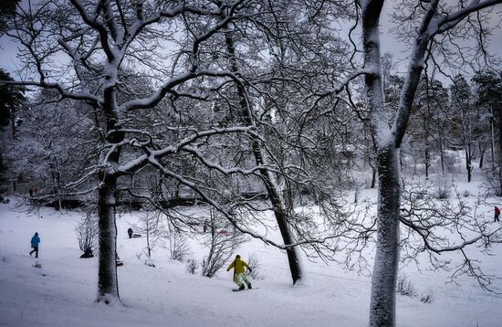 Winter fun in St. Petersburg