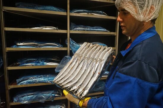 Fish processing plant in Kaliningrad Region