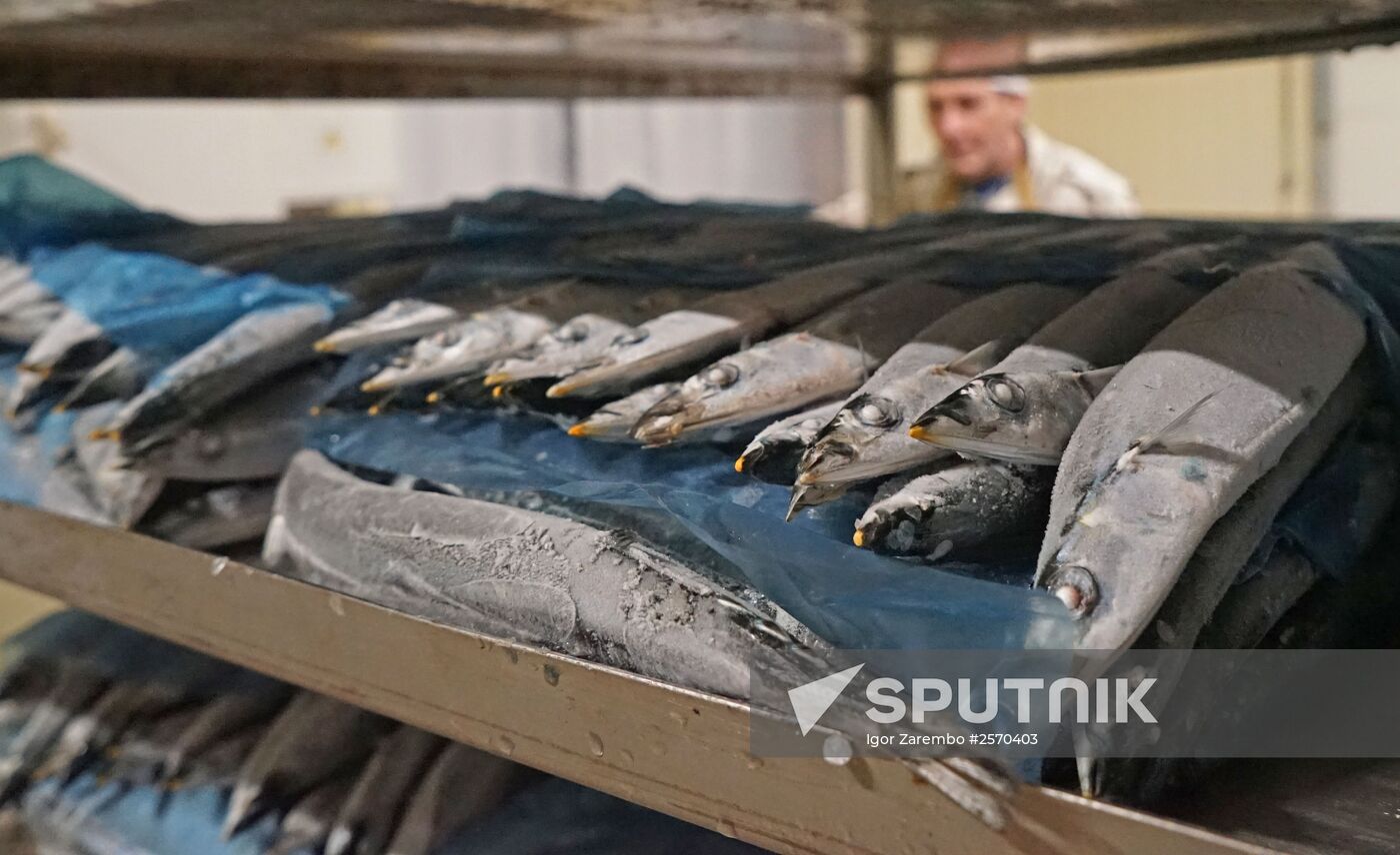 Fish processing plant in Kaliningrad Region