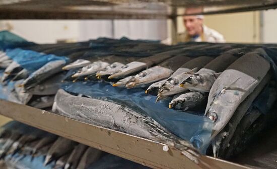 Fish processing plant in Kaliningrad Region