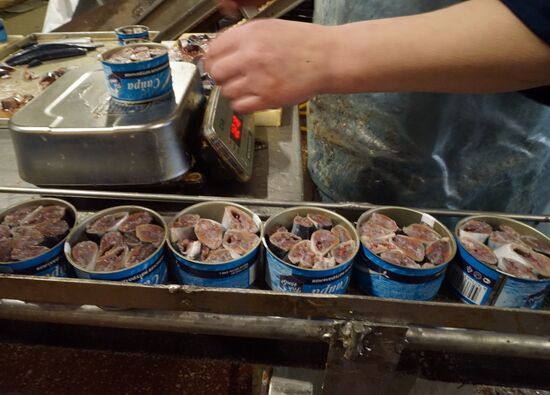 Fish processing plant in Kaliningrad Region