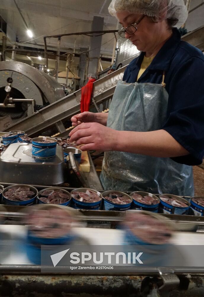A fish processing plant in the Kaliningrad Region