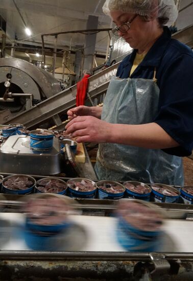 A fish processing plant in the Kaliningrad Region