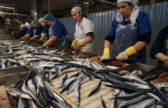 A fish processing plant in the Kaliningrad Region