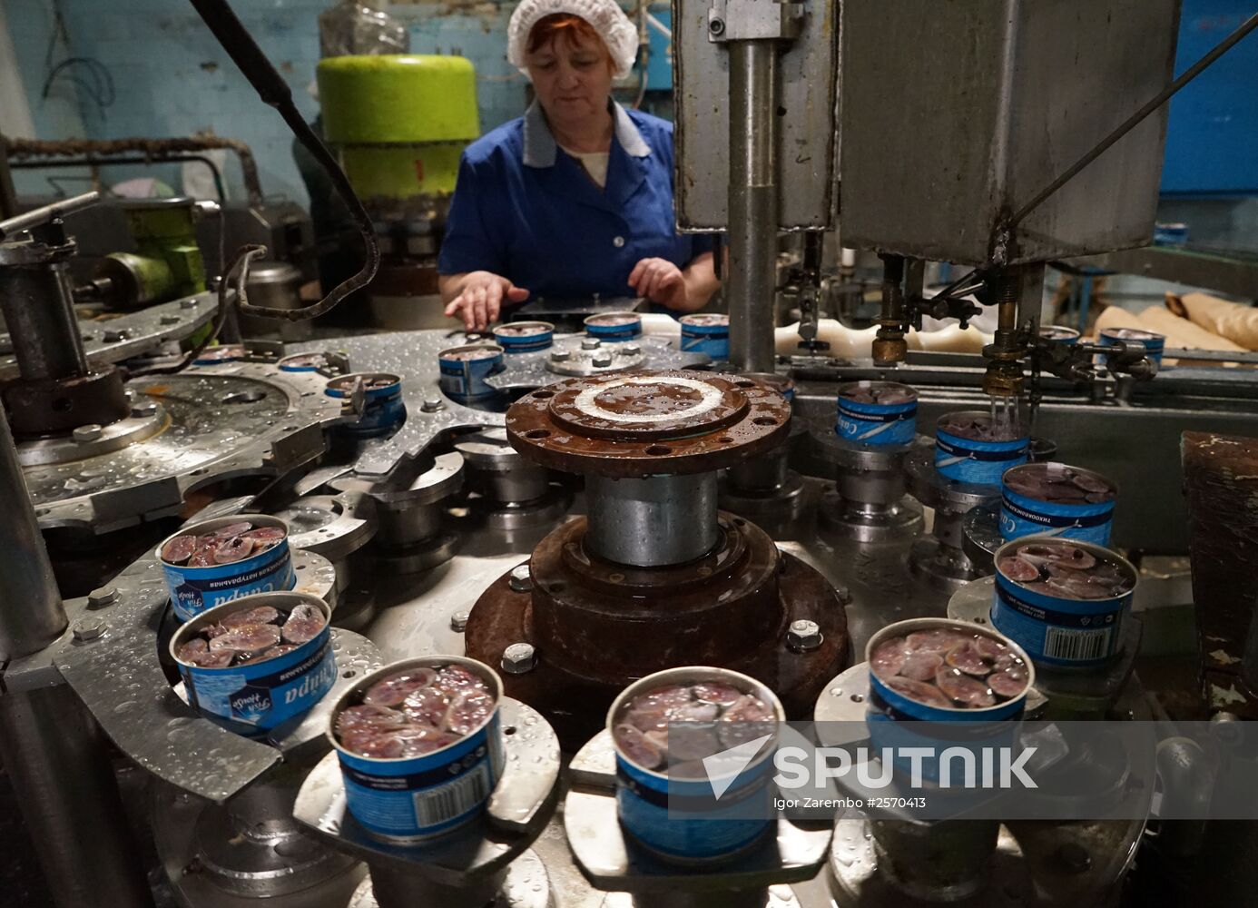 A fish processing plant in the Kaliningrad Region