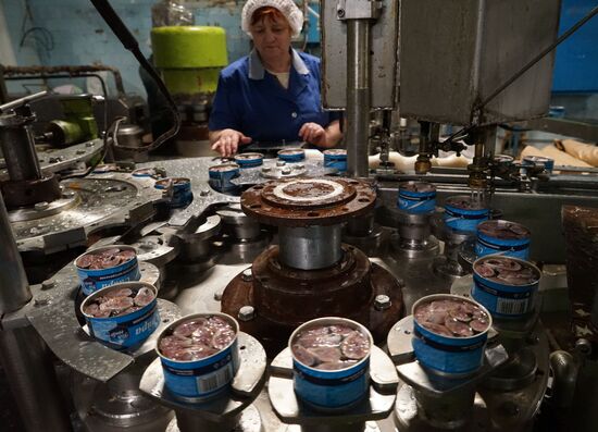 A fish processing plant in the Kaliningrad Region