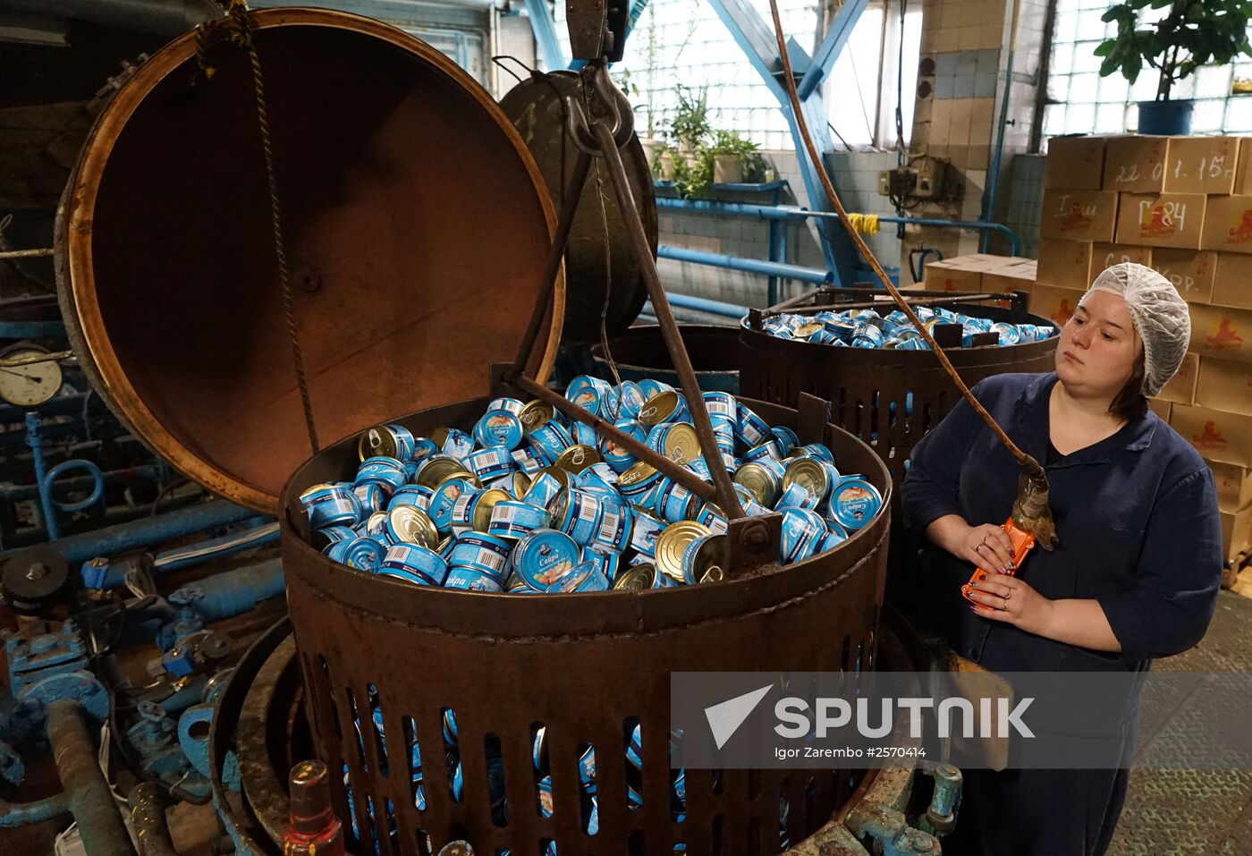 A fish processing plant in the Kaliningrad Region