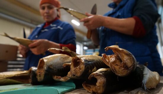 A fish processing plant in the Kaliningrad Region