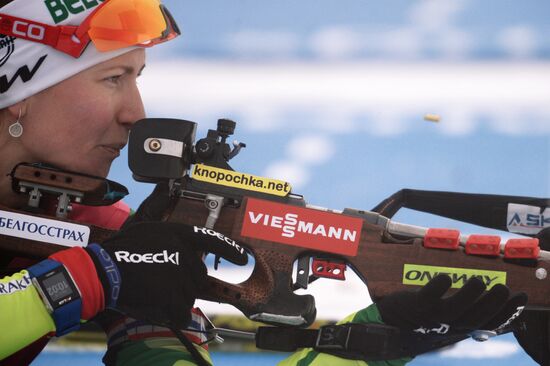 Biathlon. 8th stage of World Cup. Women. Individual race