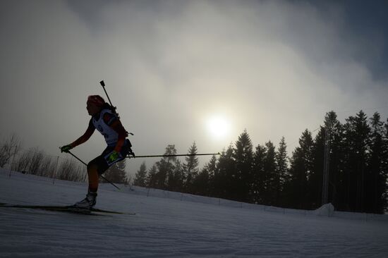 Biathlon. 8th stage of World Cup. Women. Individual race