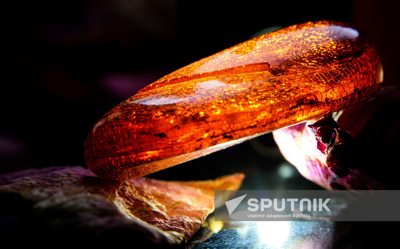 Amber with insect inclusions displayed at Vernadsky Geological Museum