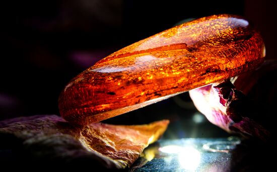Amber with insect inclusions displayed at Vernadsky Geological Museum