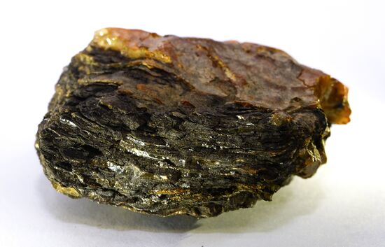 Amber with insect inclusions displayed at Vernadsky Geological Museum