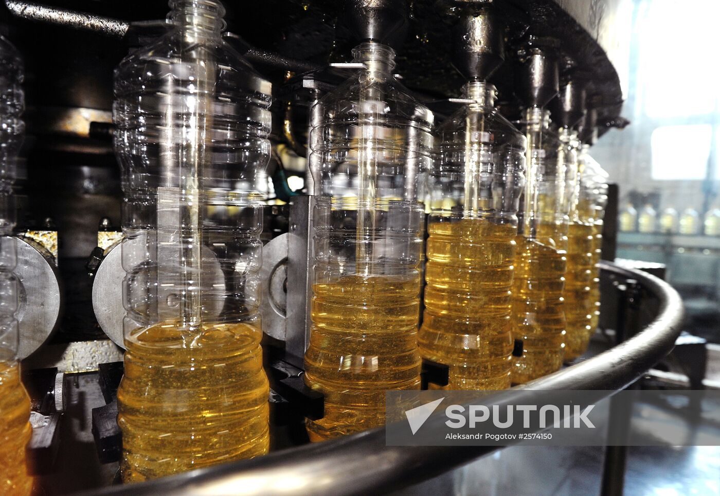 Producing Zolotaya Semechka (Golden Seed) sunflower oil in Rostov-on-Don