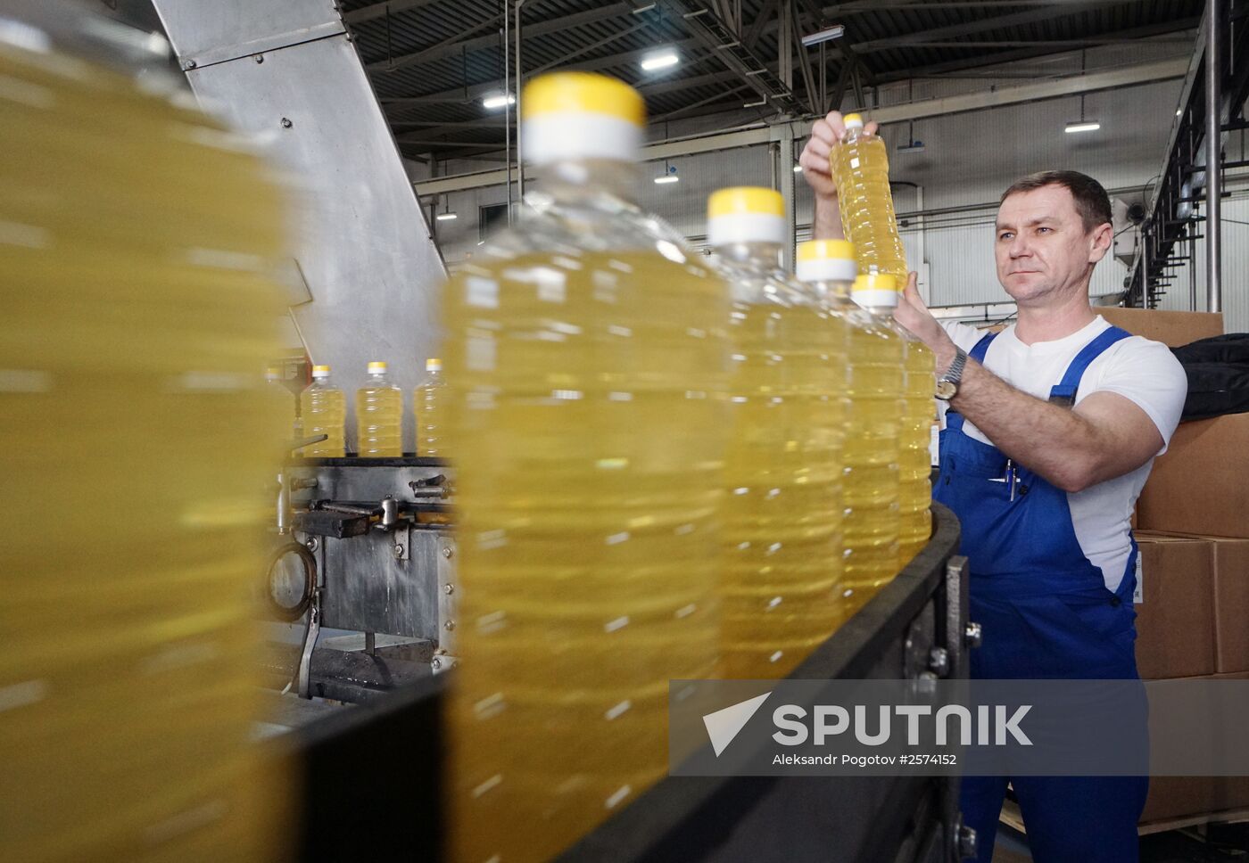 Producing Zolotaya Semechka (Golden Seed) sunflower oil in Rostov-on-Don
