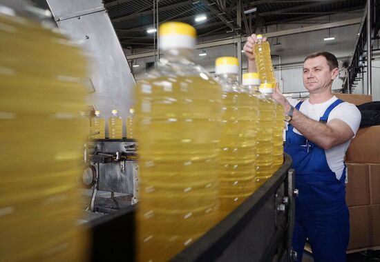 Producing Zolotaya Semechka (Golden Seed) sunflower oil in Rostov-on-Don