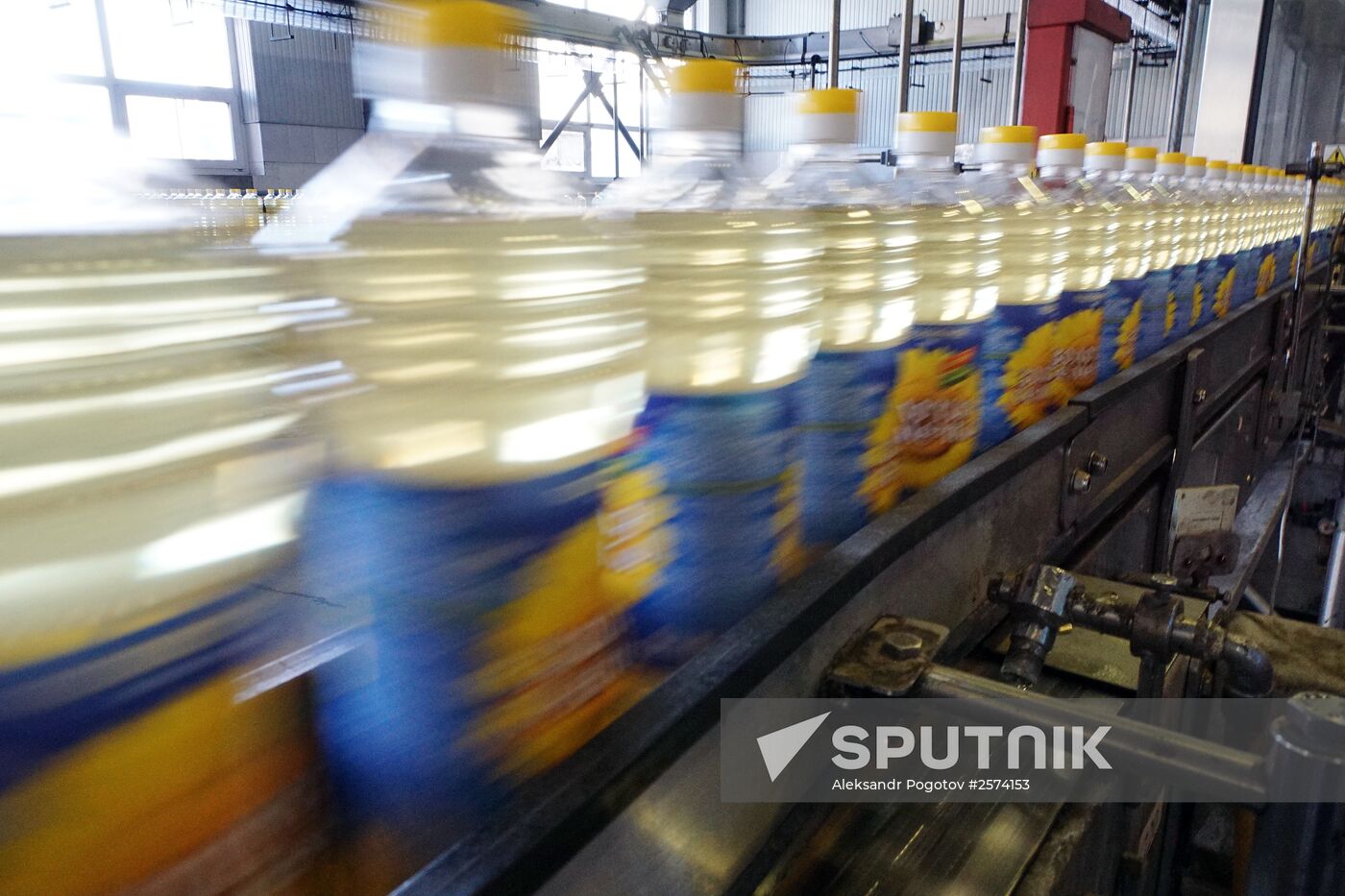 Producing Zolotaya Semechka (Golden Seed) sunflower oil in Rostov-on-Don